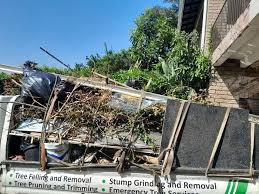 Best Construction Debris Removal  in Sanborn, NY